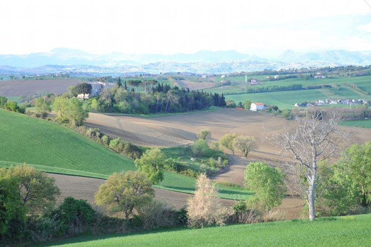 Surroundings - Solea Albergo di Campagna - Trecastelli