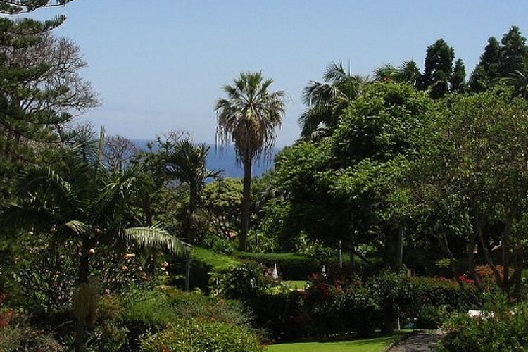 Garden - Estalagem Quinta da Casa Branca - Funchal