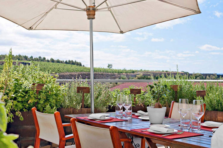 Terrace Restaurant - Marqués de Riscal - Elciego