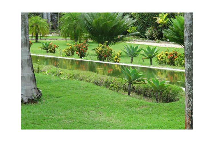 Garden - Casa Grande de Säo Vicente - Arraial d'Ajuda