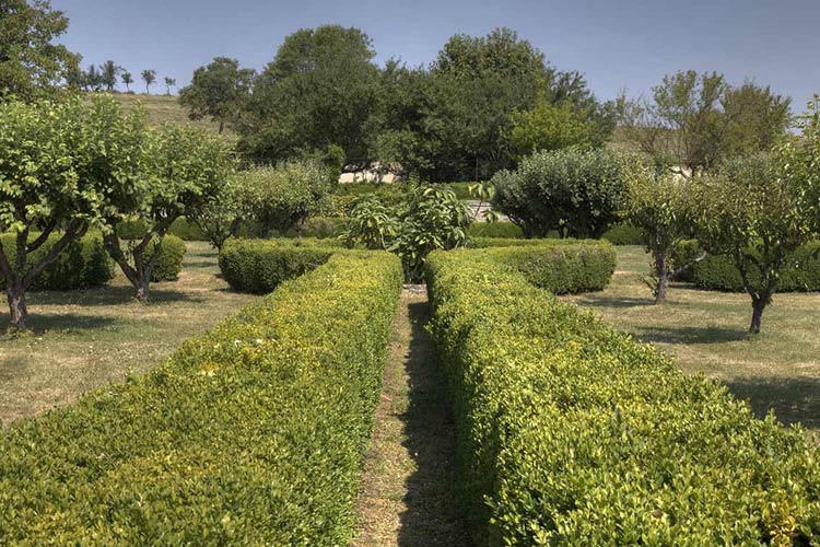 Garden - Château d'Adoménil - Lunéville