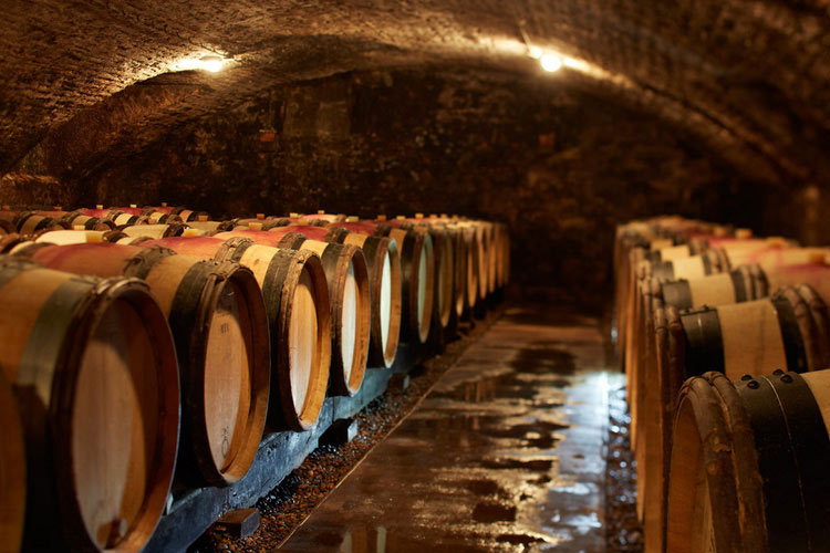 Wine Cellar - Chez les Fatien - Beaune