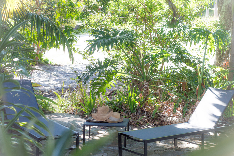 Terrace - Byron Springs Guesthouse - Byron Bay