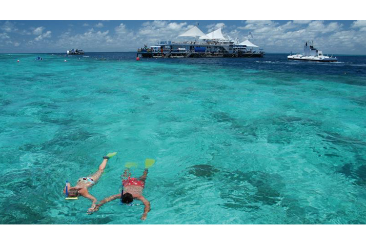 The Beach - Beach Club Resort - Hamilton Island