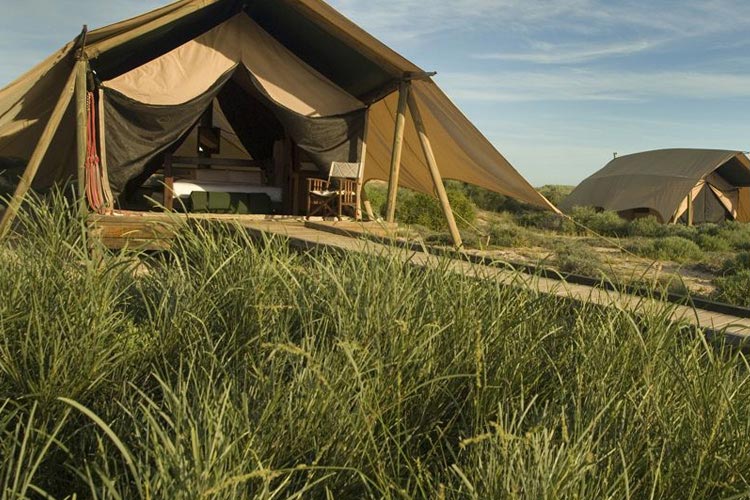 Tents - Sal Salis Ningaloo Reef - Exmouth