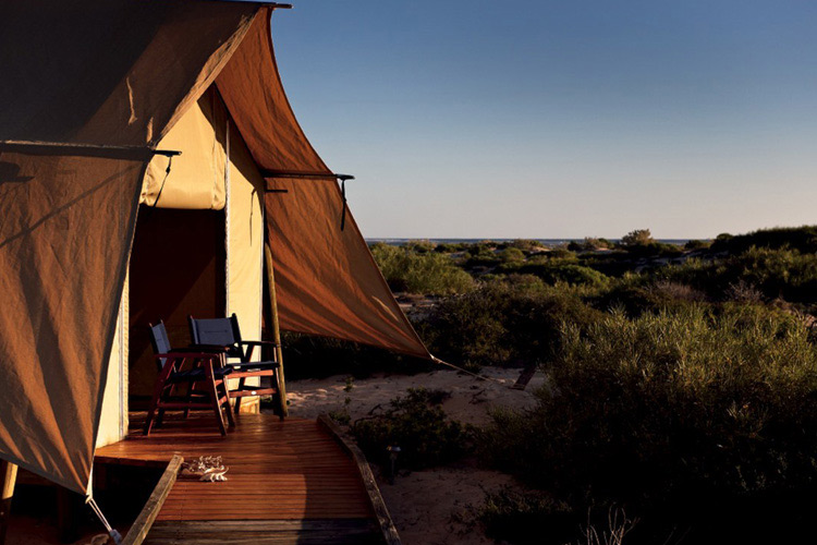 Tents - Sal Salis Ningaloo Reef - Exmouth
