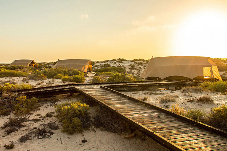 Tents - Sal Salis Ningaloo Reef - Exmouth