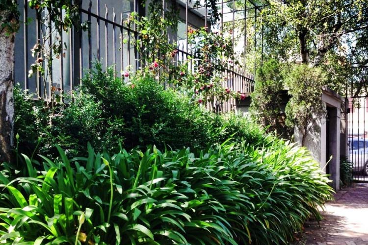 The Courtyard - Hotel Frangos - Daylesford