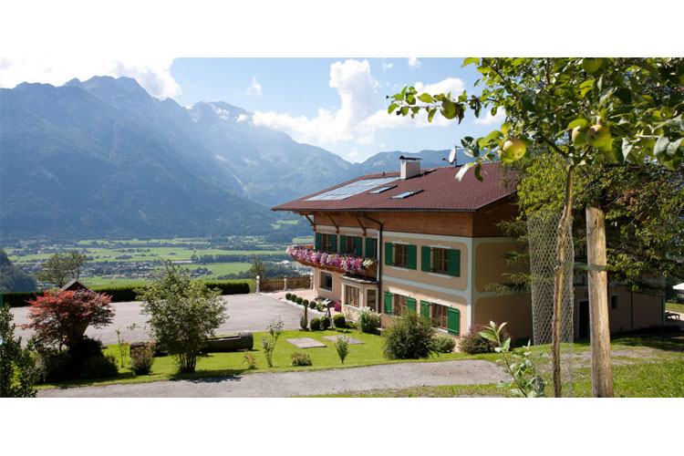 General View - Stallerhof Alpine Retreat - Golling