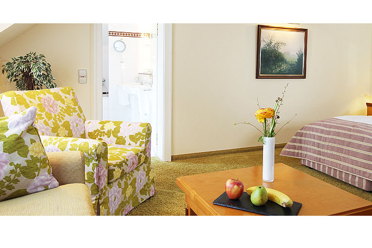 Comfort Room - Villa Hammerschmiede - Pfinztal-Söllingen