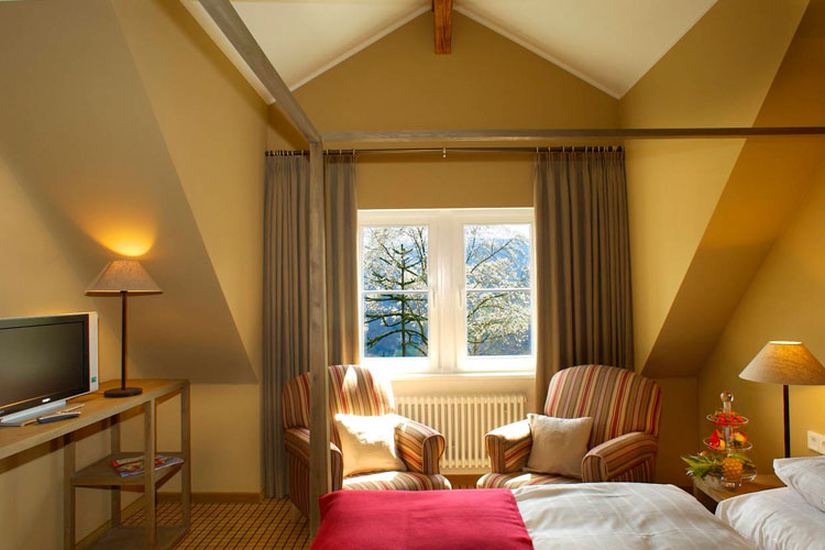 Standard Room - Schloss Eberstein Restaurant & Hotel - Gernsbach
