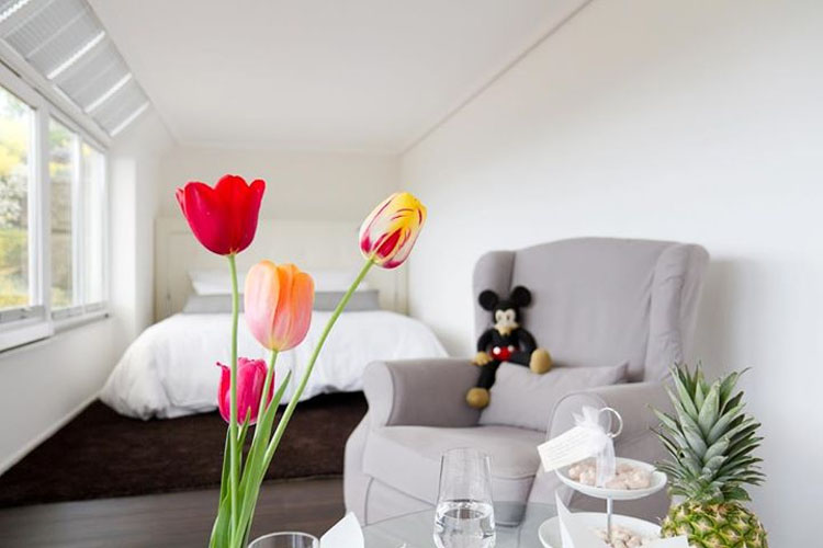 Grande Suite - Villa Seeschau - Meersburg