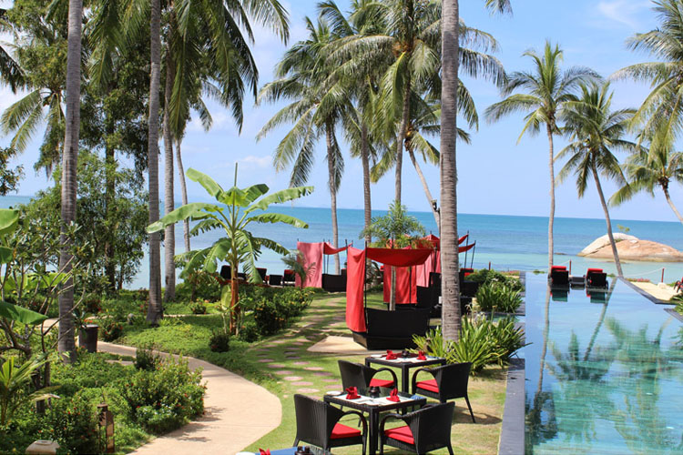 Restaurant La Plague - Kupu Kupu Phangan - Ko Phangan