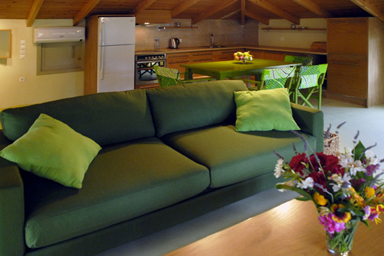 Premium Apartment - Eleonas Studios - Poros