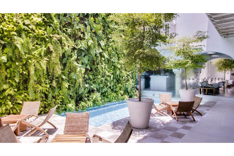 Pool - Nácar Hotel Cartagena - Carthagène des Indes